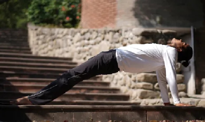 purovtanasana - upward plank pose