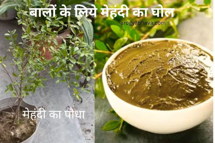 Henna Powder: मेंहदी पाउडर से अपने बालों और सिर को नयी जान दें