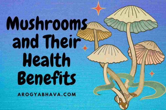 Mushrooms and Their Health Benefits