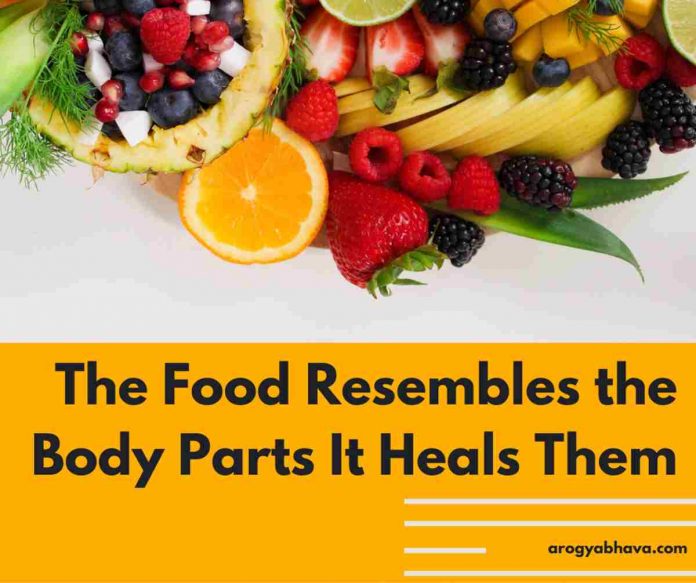 The Food Resembles the Body Parts It Heals Them
