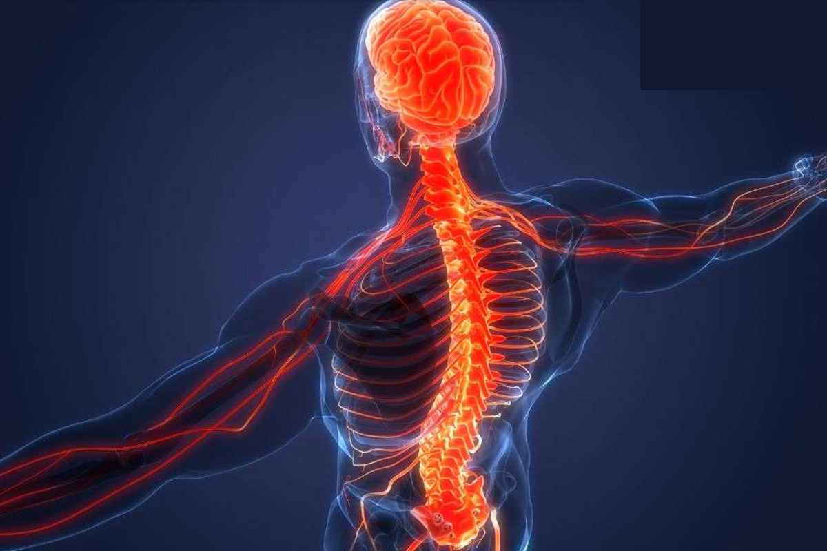 Thee Ways To Avoid Spinal Cord Injuries