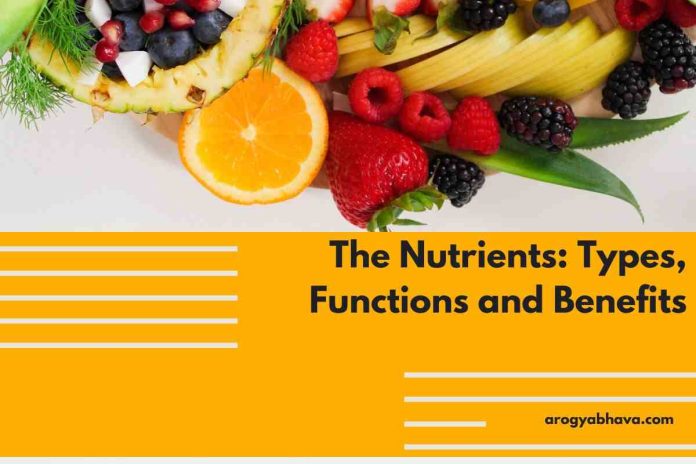The Nutrients: Types, Functions and Benefits