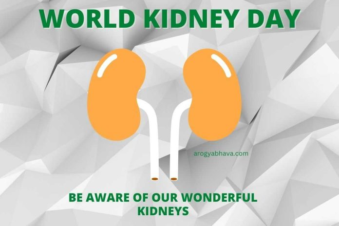 World Kidney Day - Date, History, Objective and Theme