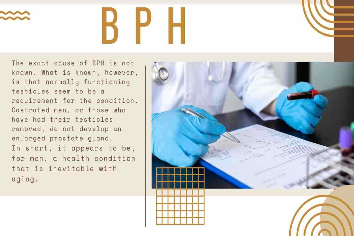 Benign Prostatic Hypertrophy (BPH): Symptoms & Treatment