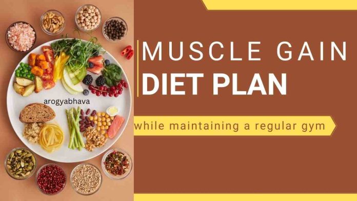 Muscle Gain Diet Plan: Regular Diet To Gain Muscle Faster For A Gym Attendant